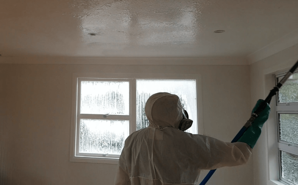 black mold removal Auckland